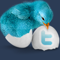 banner ad
