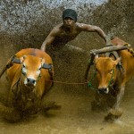 30 Amazing and Meaningful Action Photos From Real Life