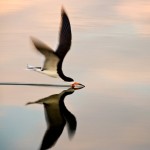 40 Awesome User-Submitted Photos From National Geographic(Editor Picked)