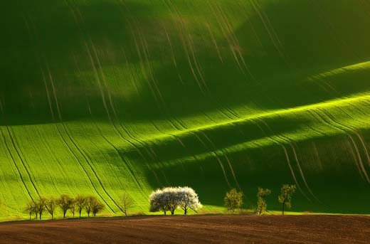 amazing photos