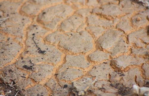 cracked mud textures