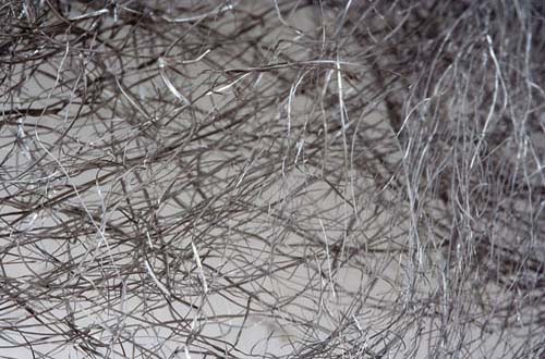 free wire textures