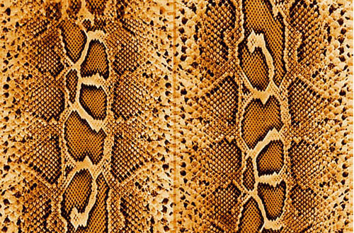 snake textures