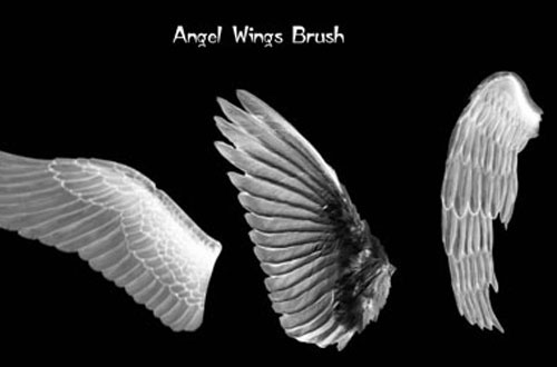 photoshop wing brushes