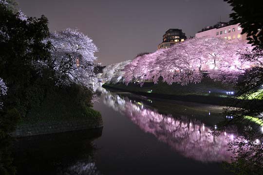 tokyo photos