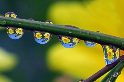 45 Stunning Examples of Water Drop Reflection Photography - Designbeep