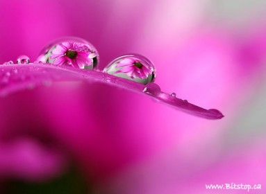 45 Stunning Examples of Water Drop Reflection Photography - Designbeep