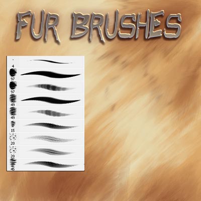 photoshop fur brushes