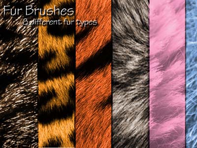 photoshop fur brushes