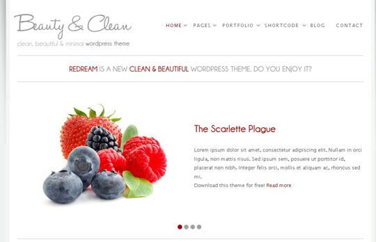 clean minimal wordpress themes 2012