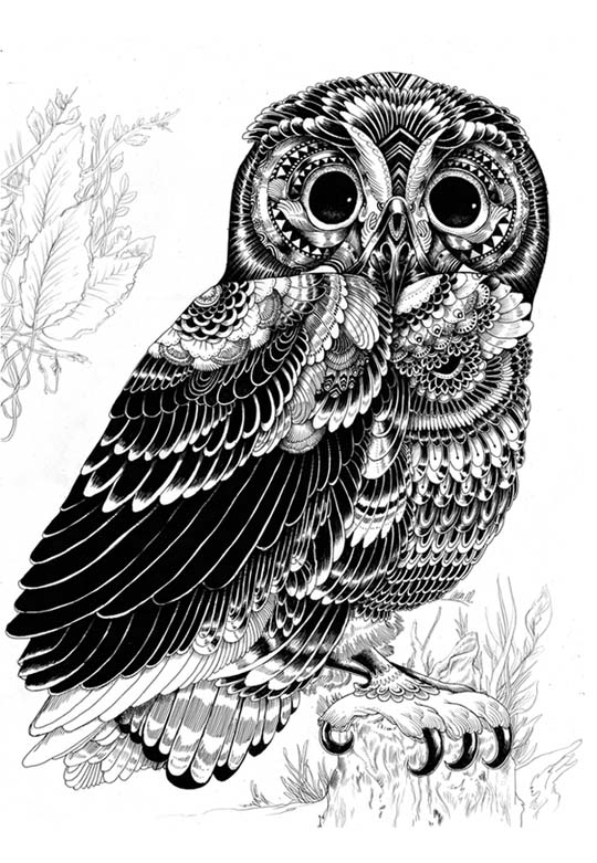 Artist Of The Week Iain Macarthur Designbeep
