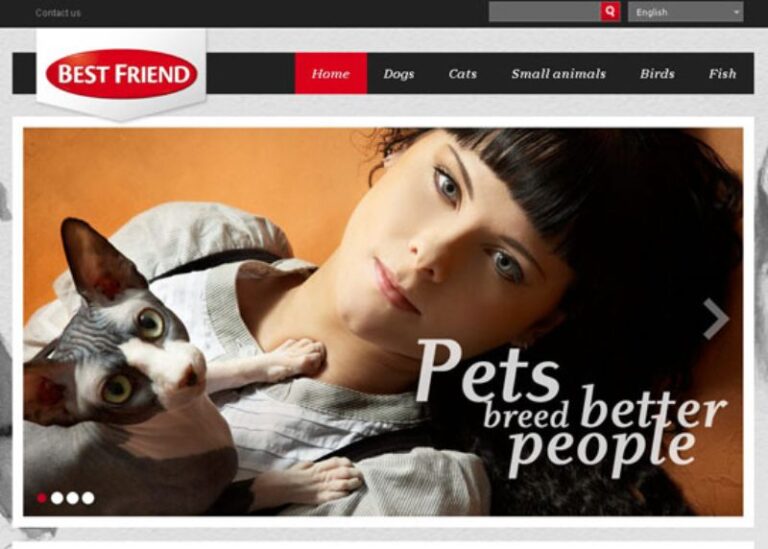 Showcase of Beautiful Pet sites Designbeep