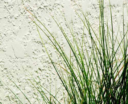 free grass textures