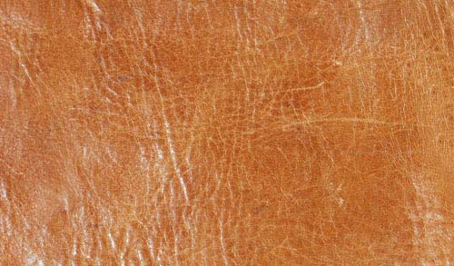 free leather texture