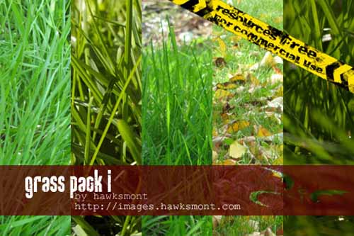 free grass textures