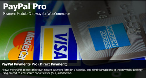 wordpress payment plugins