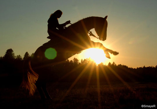 forced perspective photos