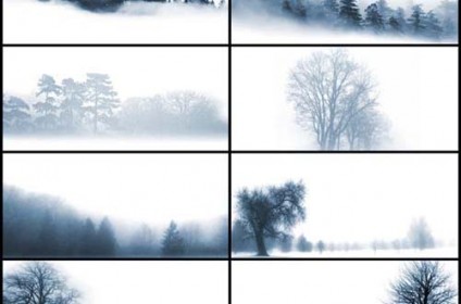 photoshop tree brushes plan