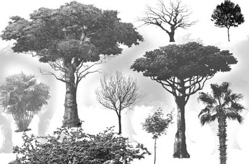 photoshop tree brushes