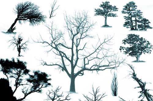 100+ Free High Quality Tree Brushes for Photoshop | Designbeep