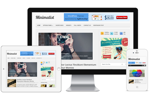 responsive wordpress themes