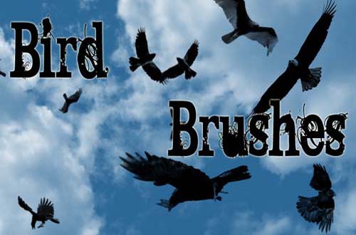 photoshop birds brushes