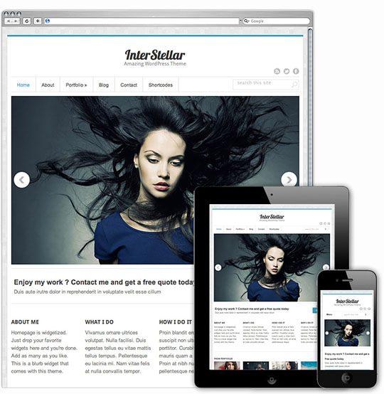 wordpress thme responsive layout