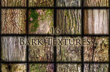 25 Free Bark Textures For Designers - Designbeep