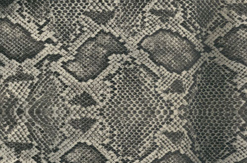snake textures