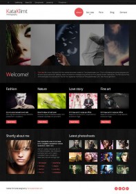 41 Totally Free Responsive HTML/CSS Website Templates - Designbeep