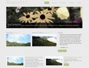 41 Totally Free Responsive HTML/CSS Website Templates - Designbeep