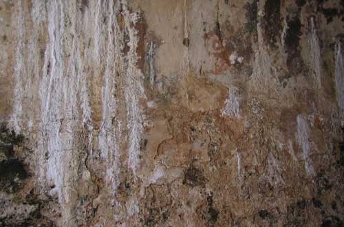 wall texture