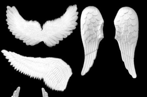 angel wings brushes for photoshop cs5 free download