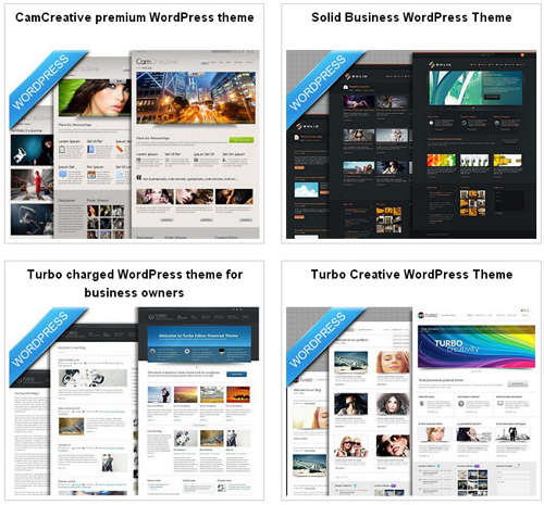 Professional WordPress Themes