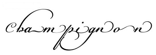 calligraphy fonts