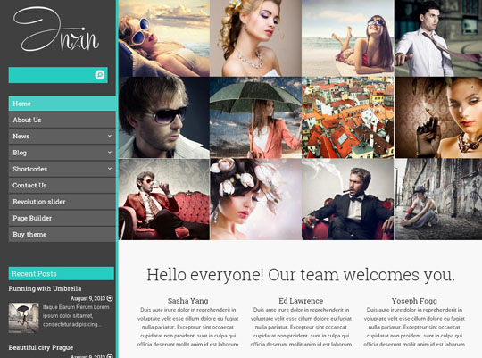 best wordpress responsive themes