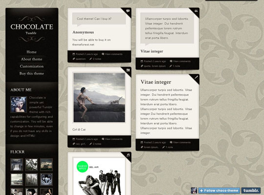 13.best tumblr themes