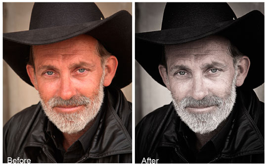 free portrait photoshop actions