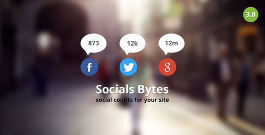 wordpress social counter plugin