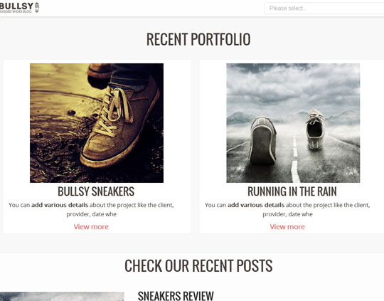 best wordpress responsive themes