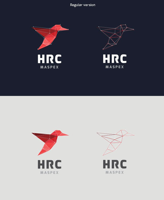 Visual Identity and Branding Series  HRC Maspex_5