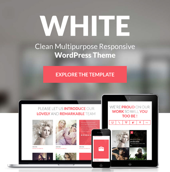 Multipurpose Responsive WordPress Theme