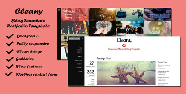 Cleany-Blog-and-Portfolio-Template