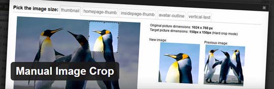 plugin-manual-image-crop