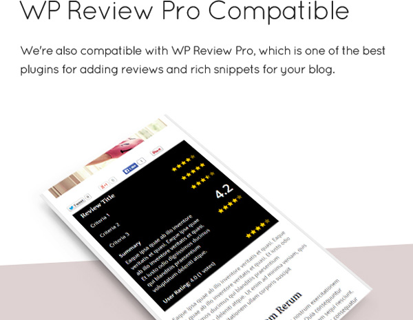 16-wp-review-pro-compatible