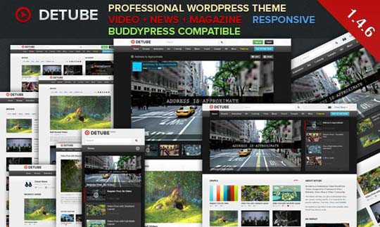4.video wordpress theme