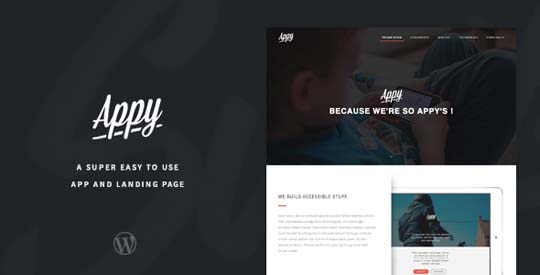 20.wordpress landing page theme