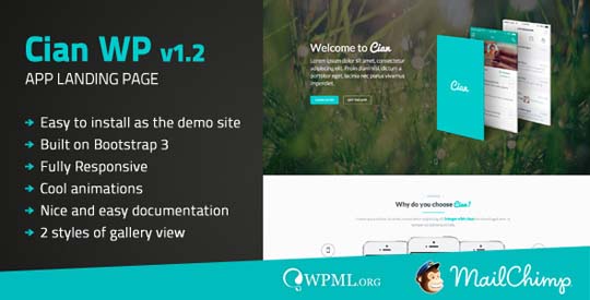 8.wordpress landing page theme