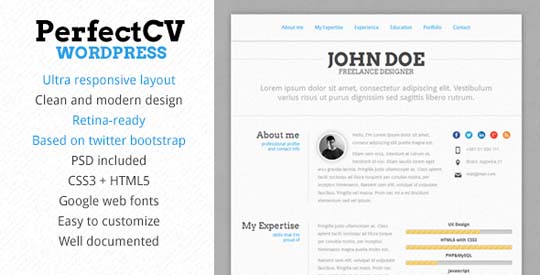 5.resume cv wordpress theme