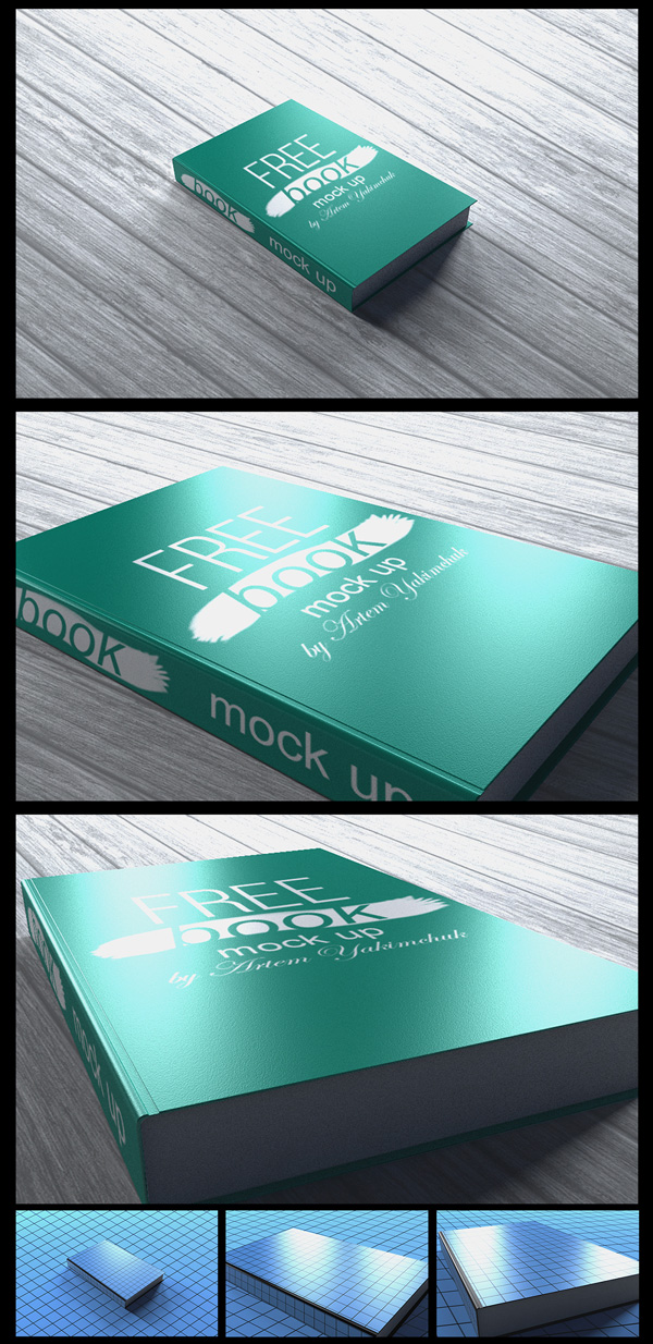 13.psd mockup